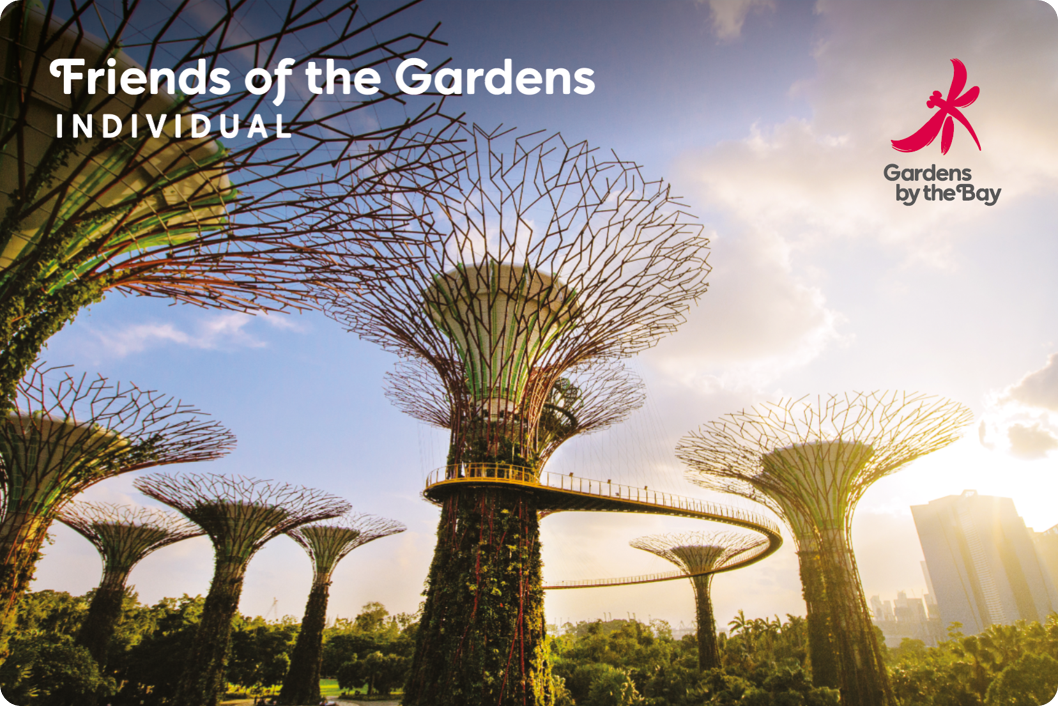 Friends of the Gardens